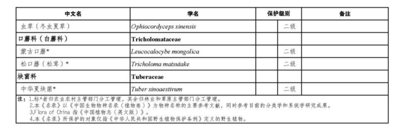 价值18万余元！男子在祁连山非法收购5632根冬虫夏草，构成危害国家重点保护植物罪获刑