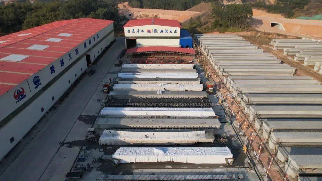 明天起开行！广东城际“特快”列车来了