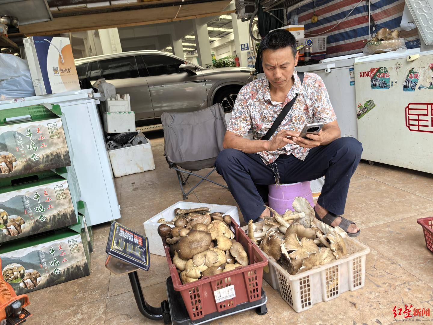 “天价”鸡枞调查：最贵卖到1800元/公斤！雨水少致产量低，多地价高客少
