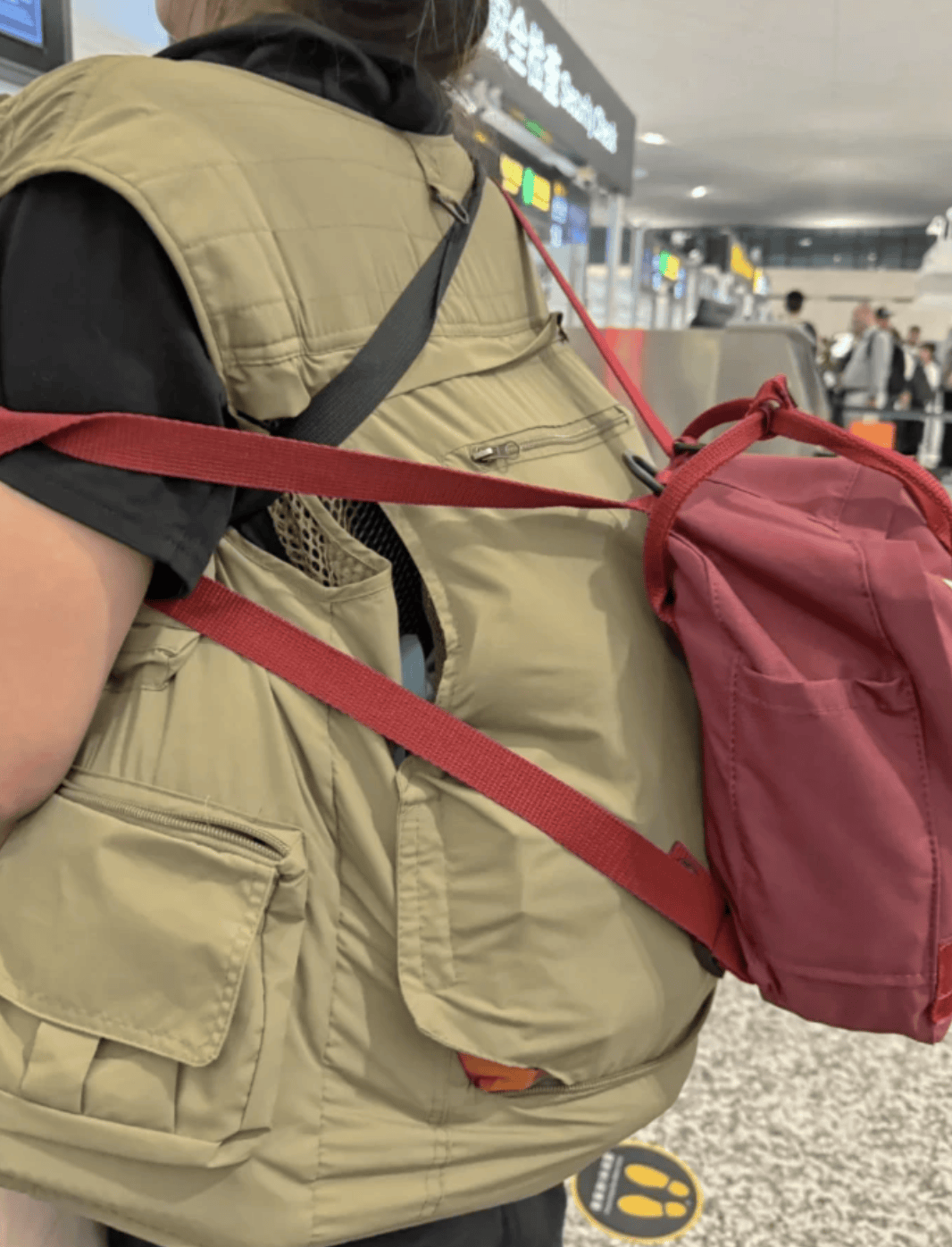 “坐飞机发现旁边放着冷链海鲜”，航空公司兼职送货给出差人整破防了