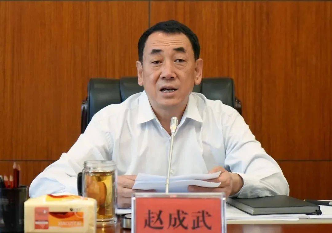 中央提级巡视时，赵成武被查