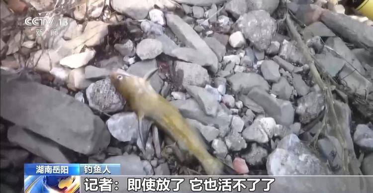 保护区里的“疯狂垂钓”屡禁不止！记者调查