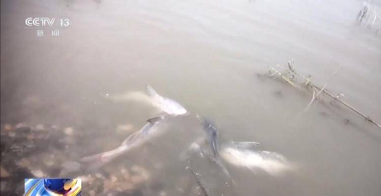 保护区里的“疯狂垂钓”屡禁不止！记者调查