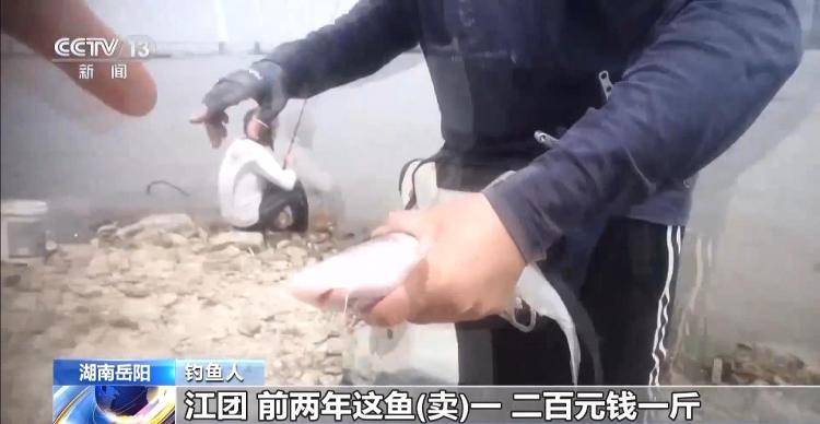 保护区里的“疯狂垂钓”屡禁不止！记者调查