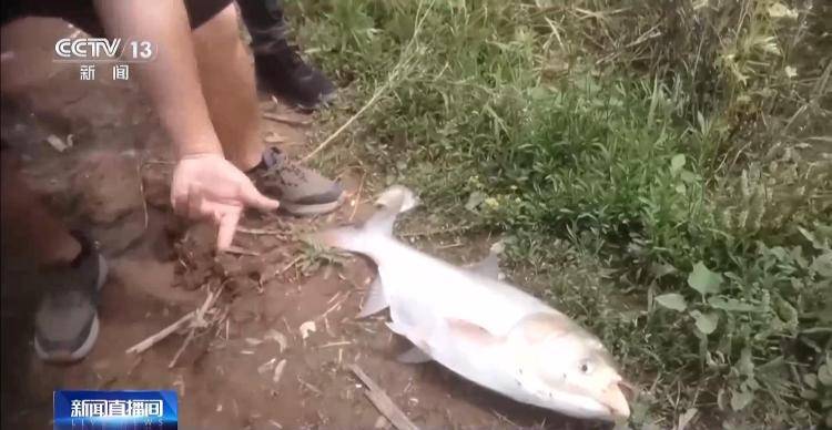 保护区里的“疯狂垂钓”屡禁不止！记者调查