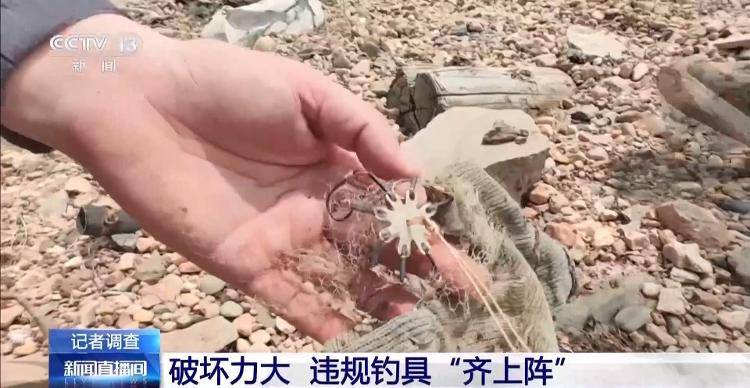 保护区里的“疯狂垂钓”屡禁不止！记者调查