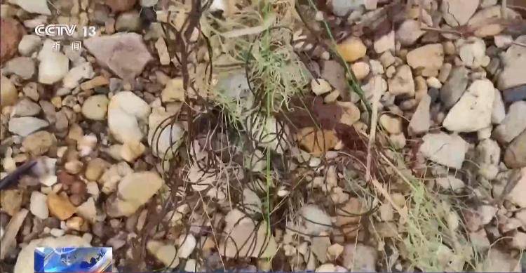 保护区里的“疯狂垂钓”屡禁不止！记者调查