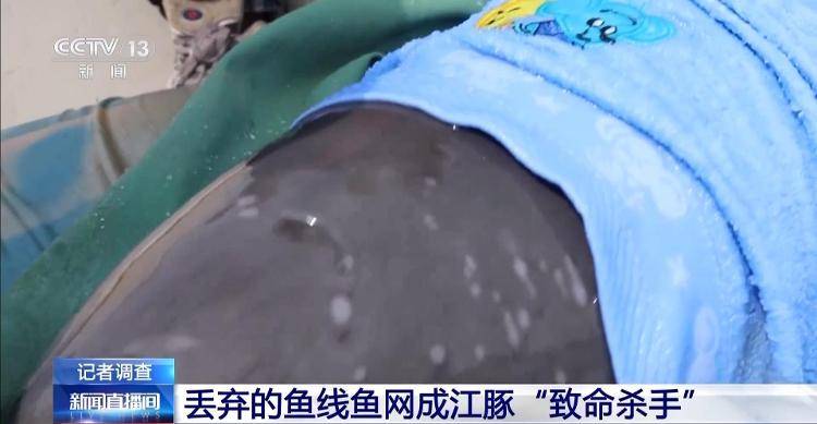 保护区里的“疯狂垂钓”屡禁不止！记者调查