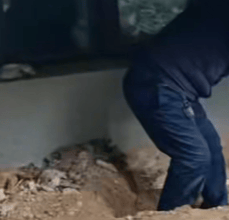 女子购买带院新房后挖出尸骨，物业：警方告知，挖出的人体骨头已经有20年了