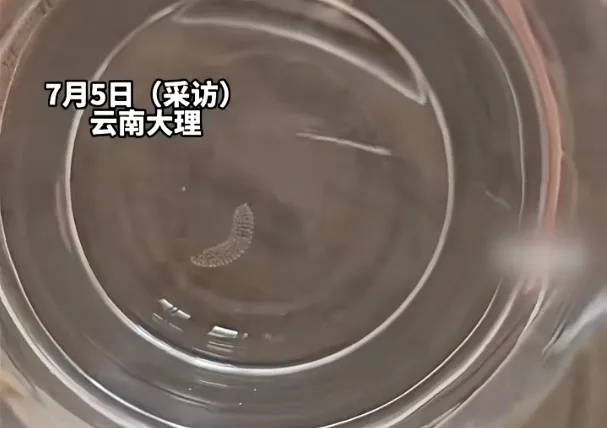 女子喝了隔夜水里的蚊子卵！专家：没事