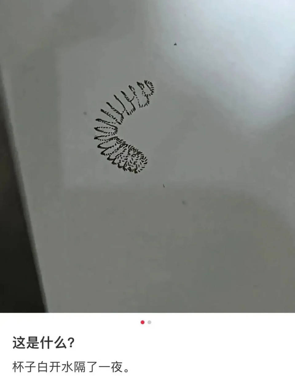 女子喝了隔夜水里的蚊子卵！专家：没事