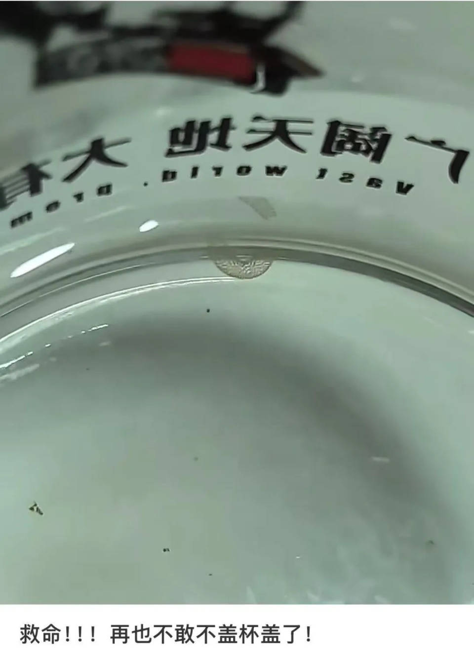 女子喝了隔夜水里的蚊子卵！专家：没事