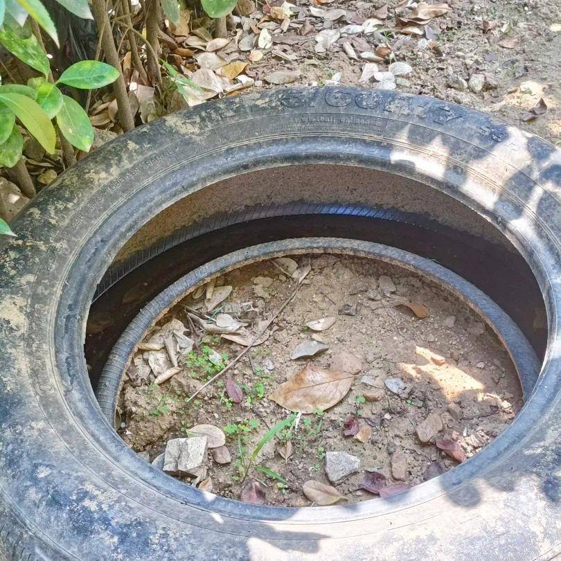 青岛疾控最新提醒：全民行动！翻盆倒罐、清除积水！