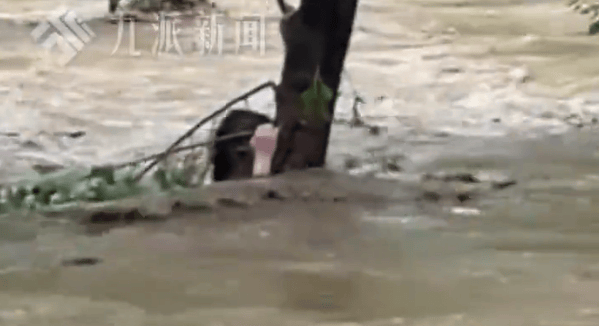 强降雨致河北一露营地突发山洪，多人被困，亲历者：大家抱着一棵树坚持了7个小时