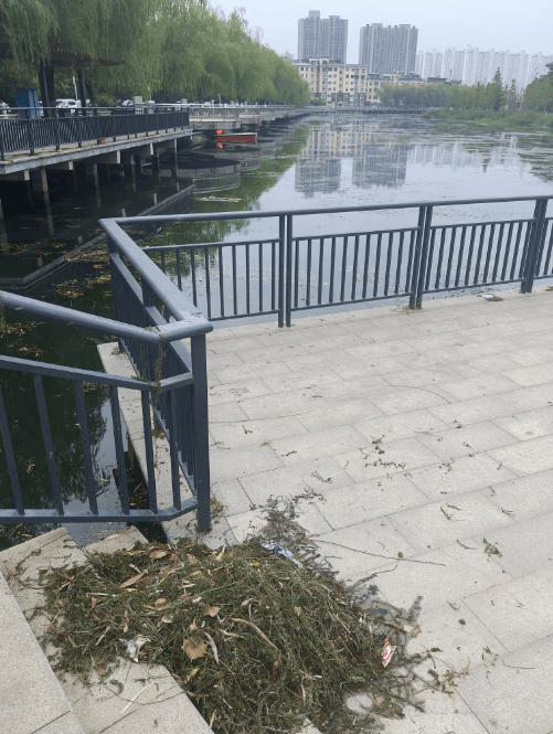 郑州一女子在帝湖溺亡，警方：遗体已打捞上岸