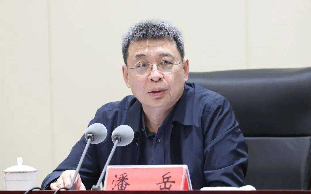 正部级潘岳，有新职