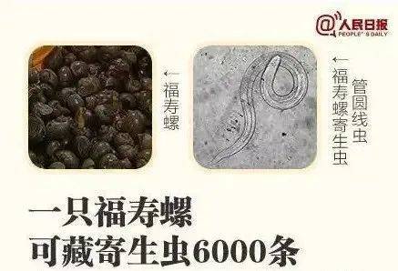 别吃！寄生虫多达6000条！浙江一地大量出现，看到立刻上报