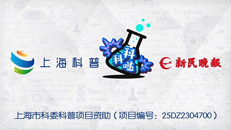 抗500 ℃高温和-183 ℃极寒 上海为新一代运载火箭打造“防护铠甲”