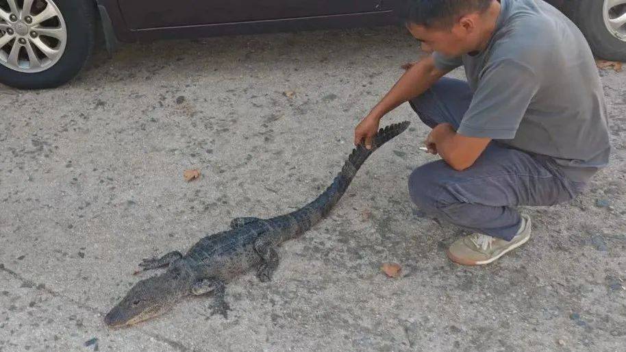 安徽一钓鱼佬钓到一条1米长20斤的“大鱼”，赶紧送到派出所，民警：放生！