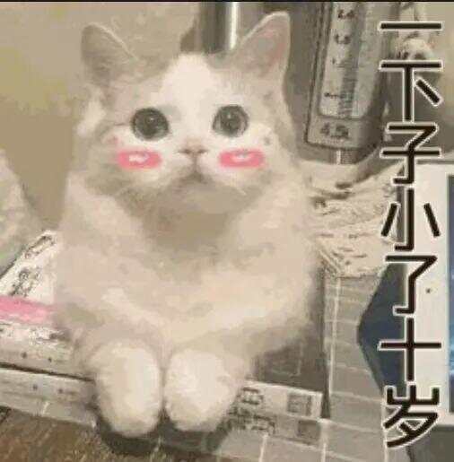 79岁老伯为见其相亲对象“翠花”，将身份证改小10岁 被发现后不忘叮嘱民警“能不能不告诉她”