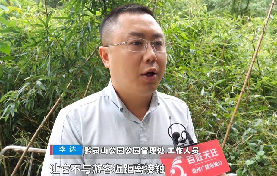 给黔灵山猕猴喂白酒、槟榔、棉花糖，整各种“花活”！这种“宠爱”引人反思