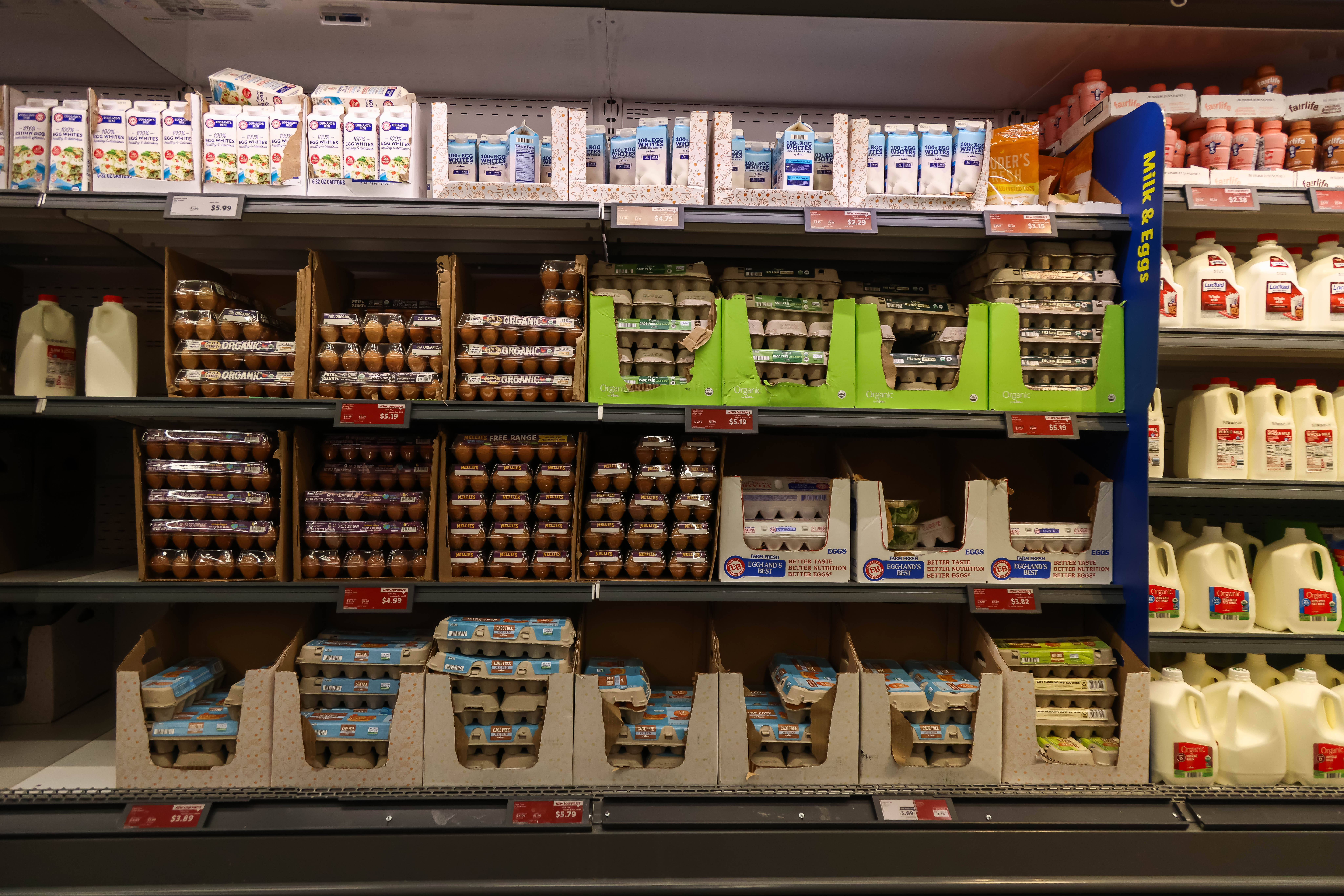 沙门氏菌污染蛋品 美国今年已有至少95人患病