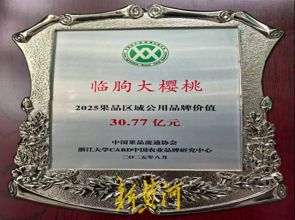 潍坊临朐：30.77 亿元！“红玛瑙”大樱桃何以成乡村振兴“甜蜜引擎”