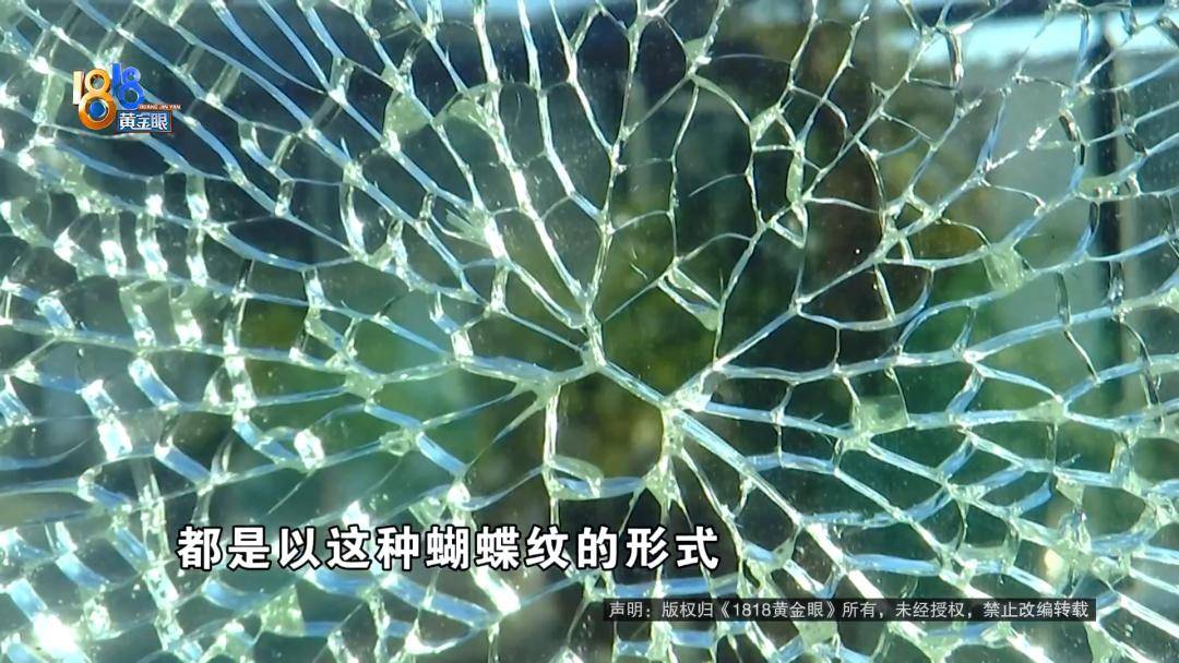 投入近500万做民宿，近30万装落地玻璃，怎么碎成这样？