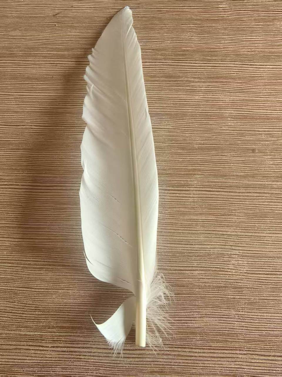 羽毛球又又又涨价，球友破防：月花三千扛不住，打球人的天塌了