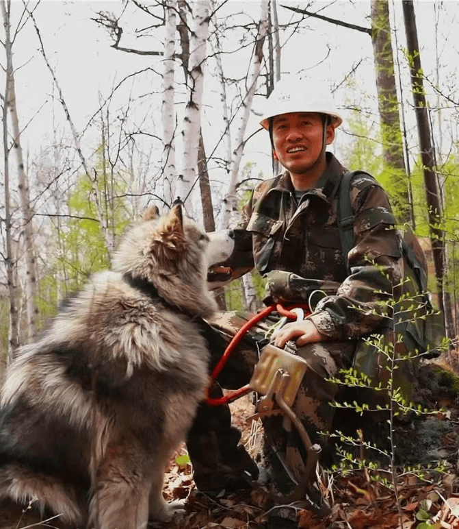 “内蒙古好人”柴瑞峰：极寒林海十五载 信号守护暖边疆