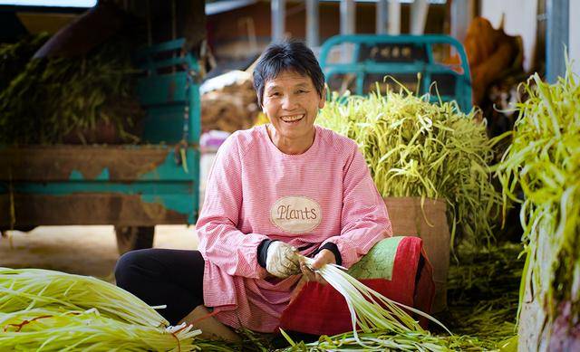弥勒“新哨经验”，全州推广！