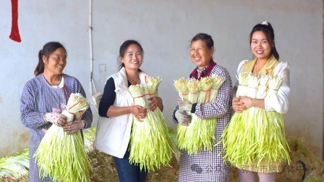 弥勒“新哨经验”，全州推广！