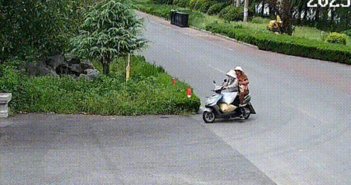 400斤，两人多次偷猕猴桃自己吃，被济南警方抓获