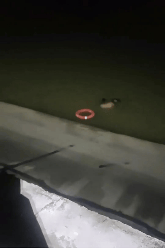 东莞一女子凌晨沉入漆黑水库，民警第二跳让人揪心……