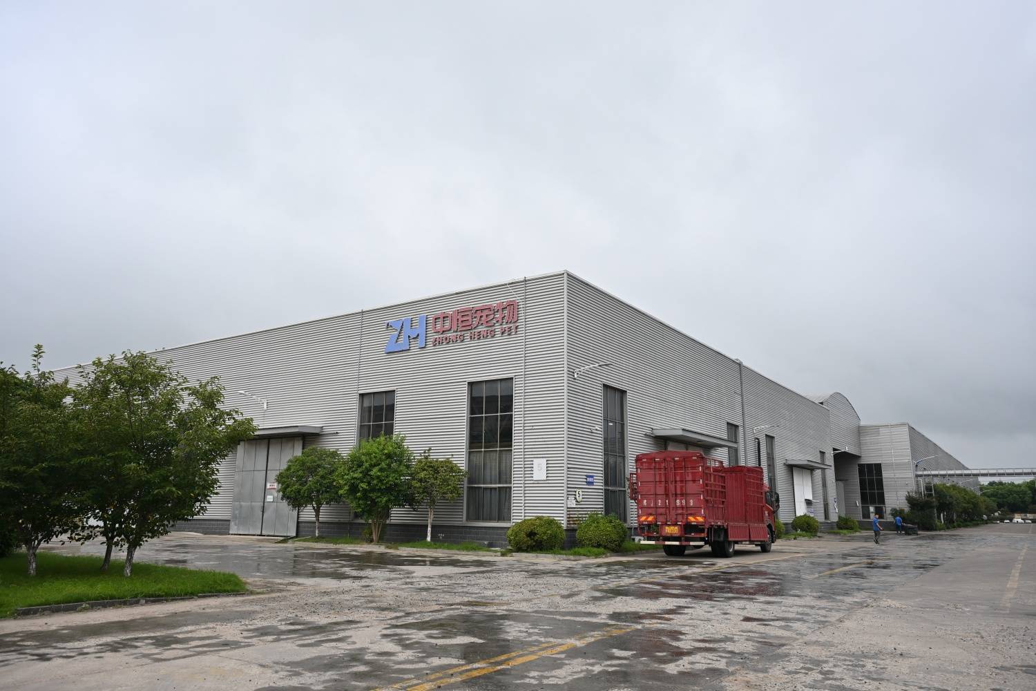 宠物用品爆卖70国，这家盐城公司怎么做到的？丨活力中国调研行