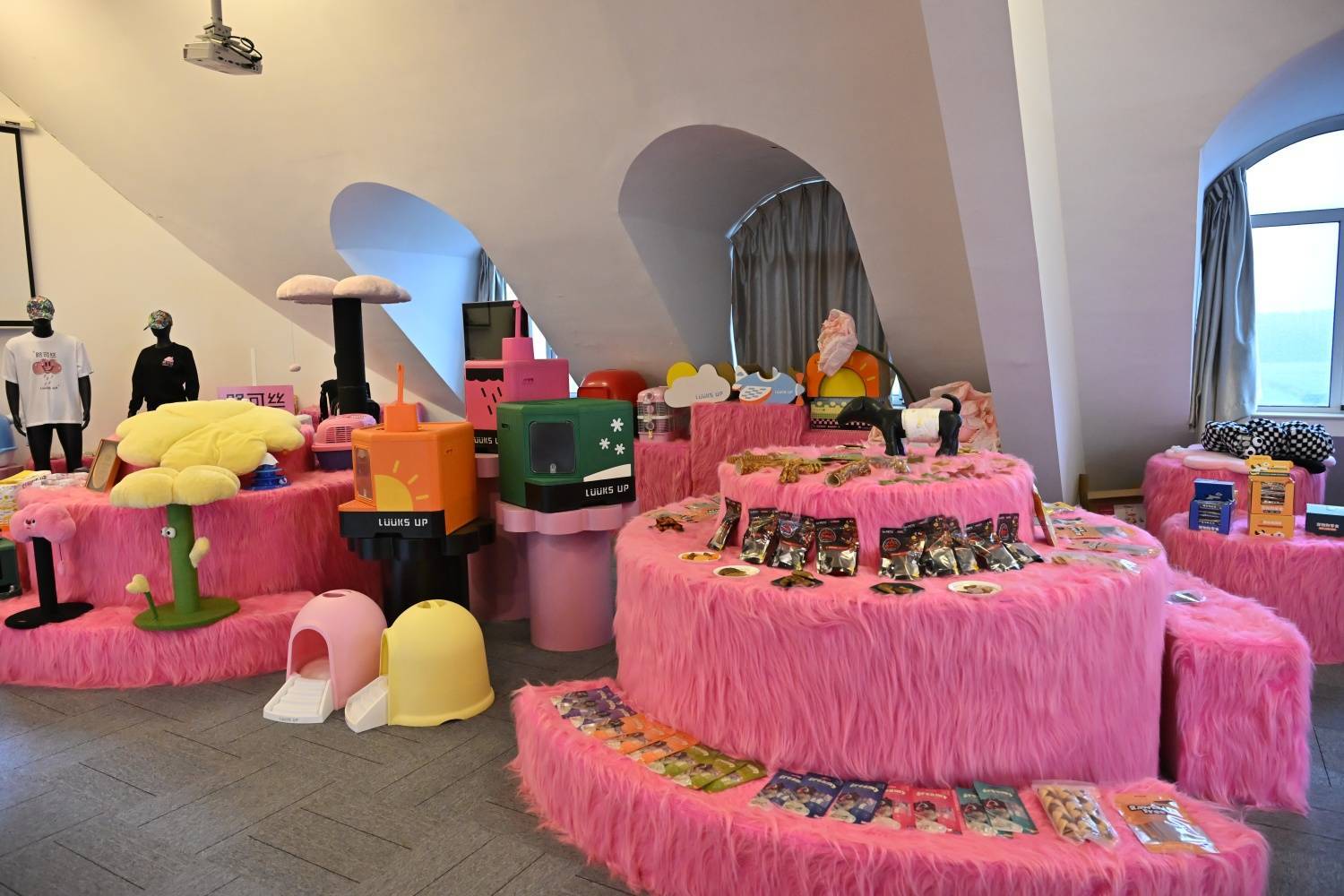 宠物用品爆卖70国，这家盐城公司怎么做到的？丨活力中国调研行