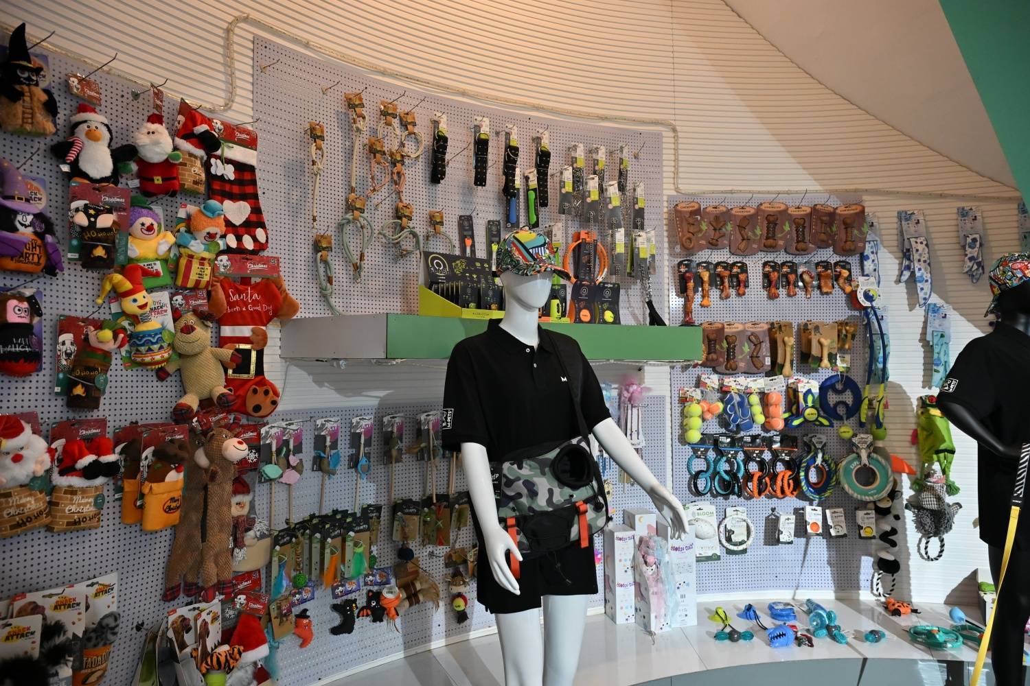 宠物用品爆卖70国，这家盐城公司怎么做到的？丨活力中国调研行