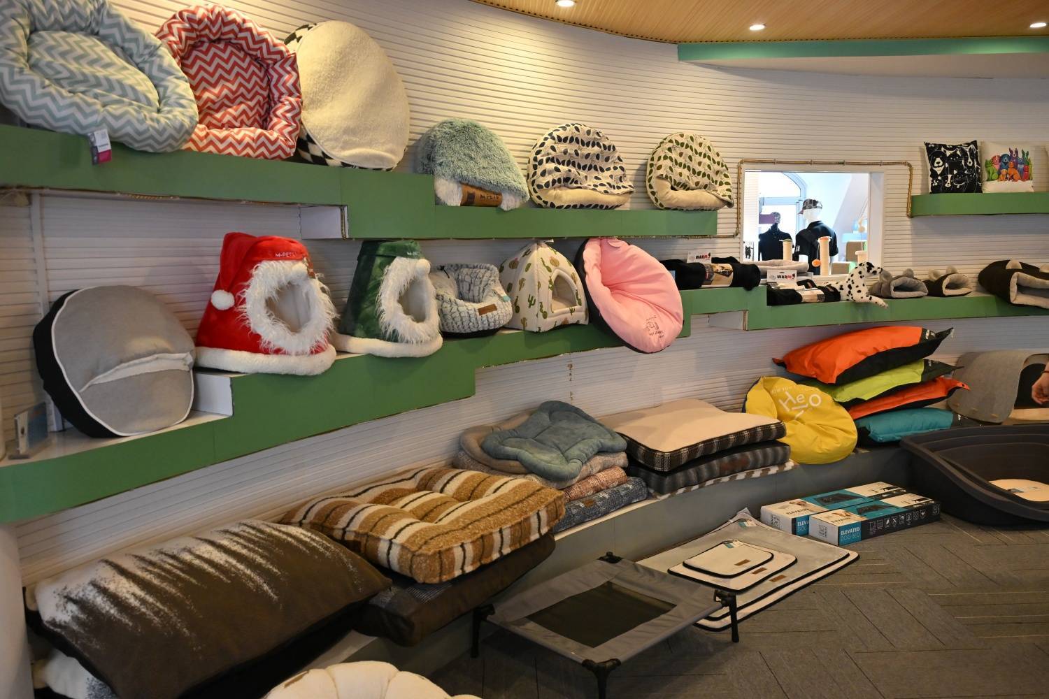 宠物用品爆卖70国，这家盐城公司怎么做到的？丨活力中国调研行