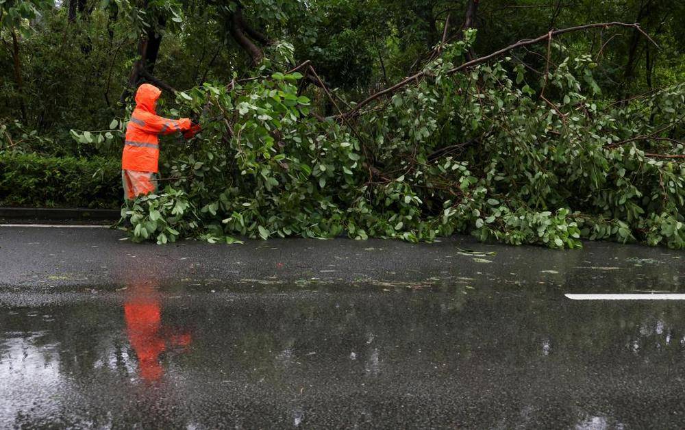 谁给“风王”踩了“刹车”，打了“转向”，又是咋知道的?