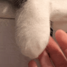 1227个城镇老旧小区，全部开工！