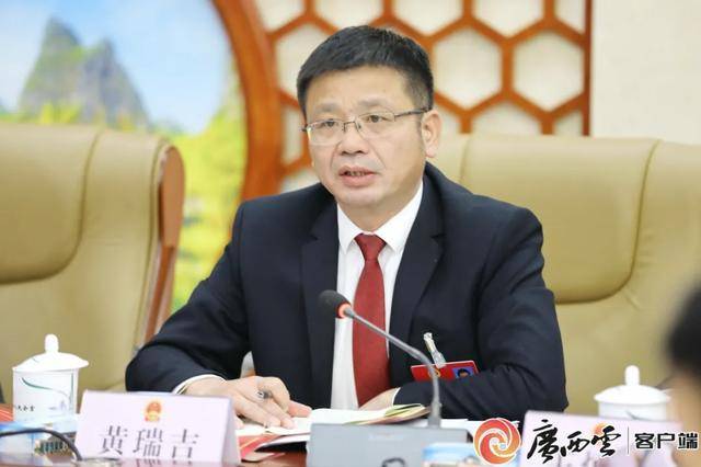 黄瑞吉，严重损害党的形象、都安的形象