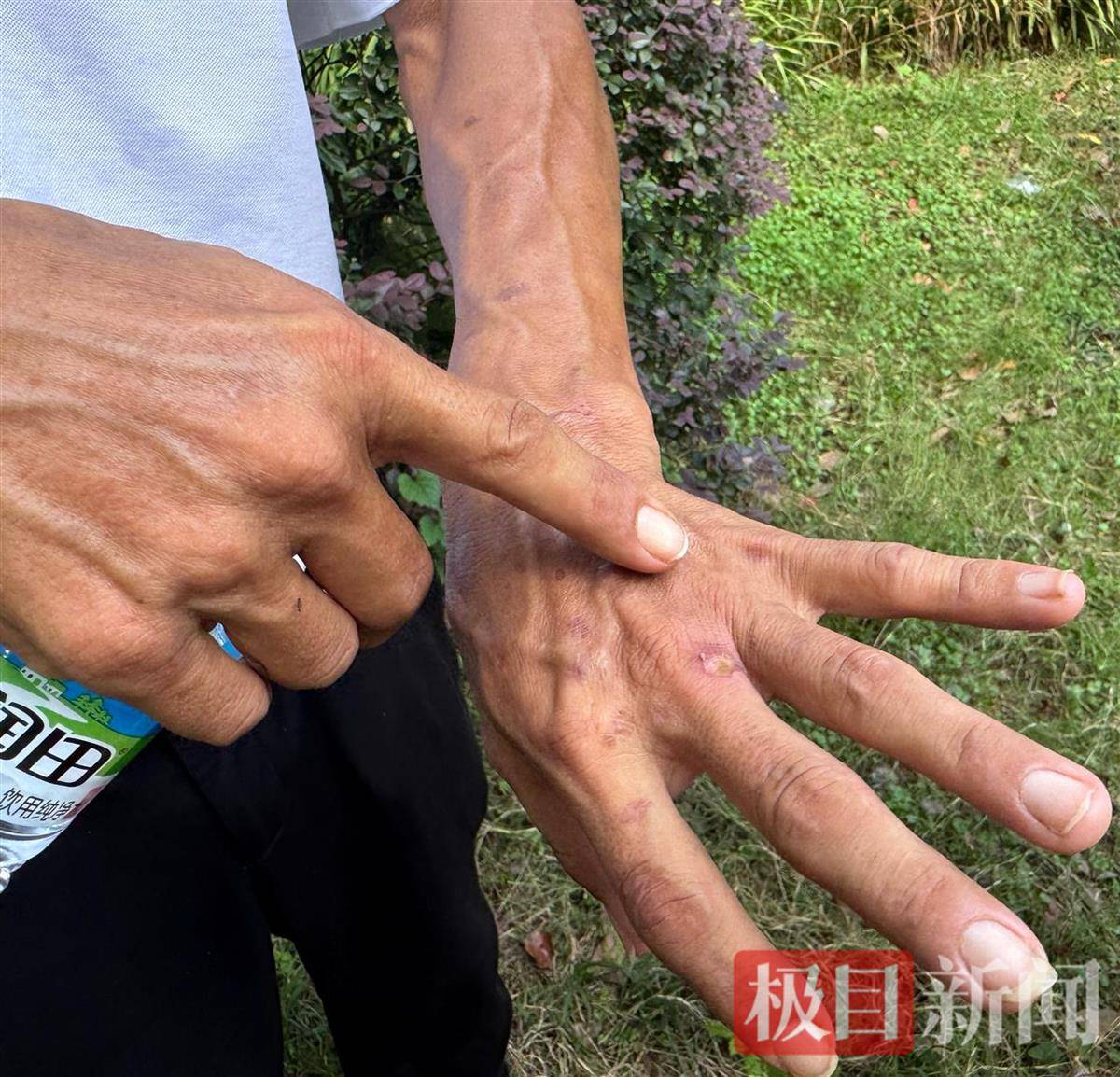 “鸡排哥”赚得盆满钵满购置多套房产？当事人幽默回应：还没到一个亿，你多来，我才能多卖2份