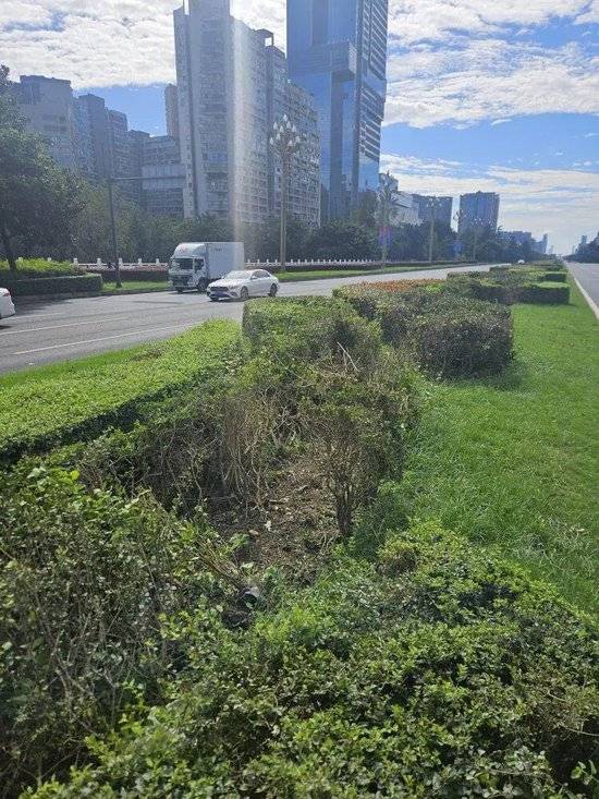 小米汽车失控起火司机遇难，目击者称车速150km/h，实探事故地：燃烧留下的印记仍在