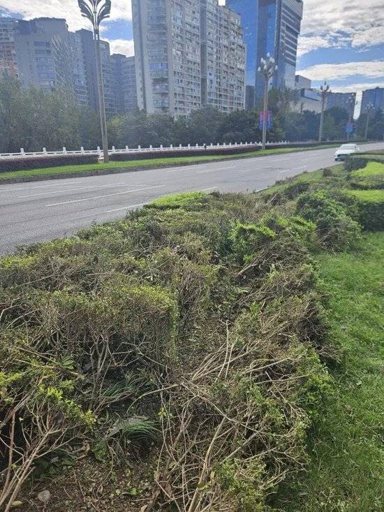 小米汽车失控起火司机遇难，目击者称车速150km/h，实探事故地：燃烧留下的印记仍在