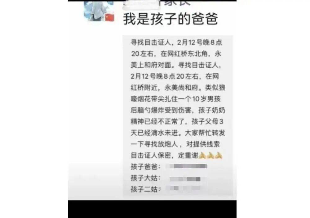 10岁男孩被烟花击中头部身亡，14岁嫌疑人被告上法庭，最新进展→