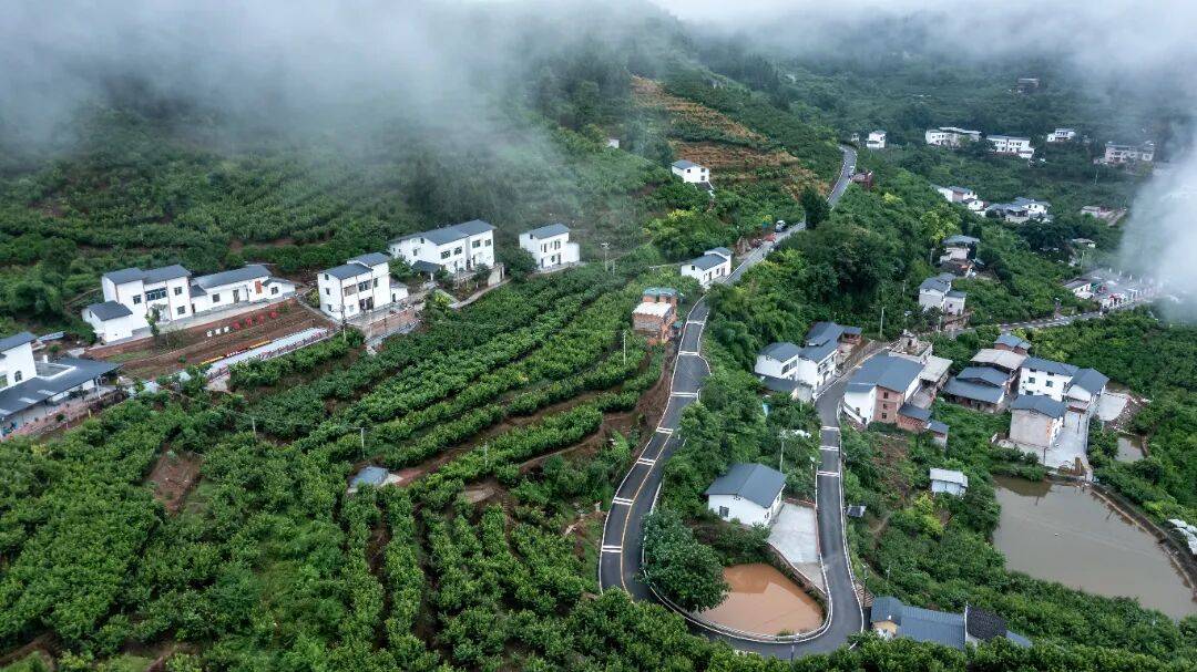 第三批“巴蜀美丽庭院示范片”项目，全部完工！