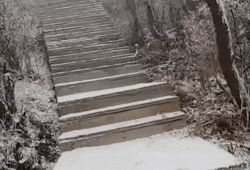 石家庄下雪了！河北雨雪上线！新一股冷空气在路上……