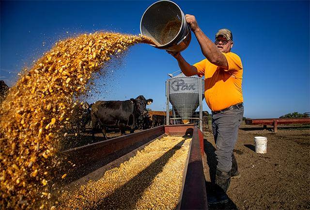 又输给了李成钢，贝森特承诺：美方不再考虑对华加征100%关税