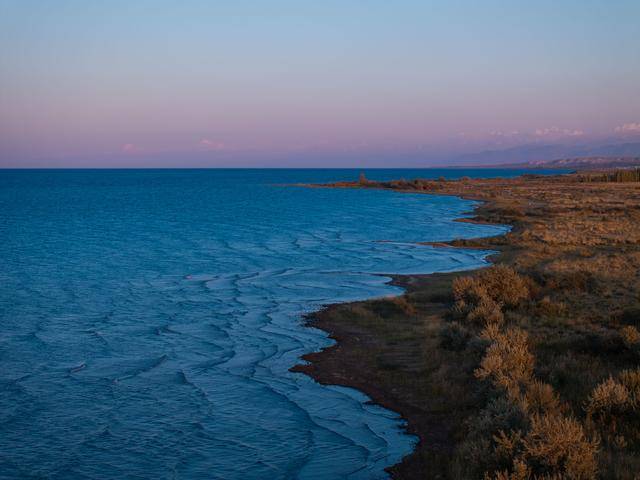 青年说 | 到中亚，奔赴一场激动人心的“探秘”