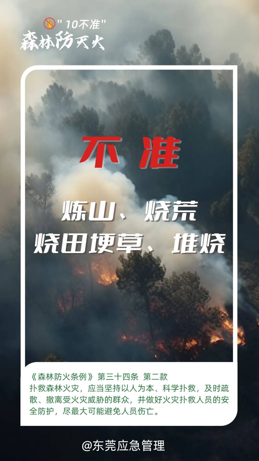 深圳坪山区突发山火，最新通报：明火已扑灭，无人员伤亡